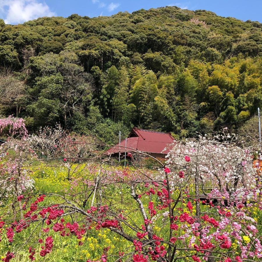 Villa Toraya Attic Shimoda  Esterno foto
